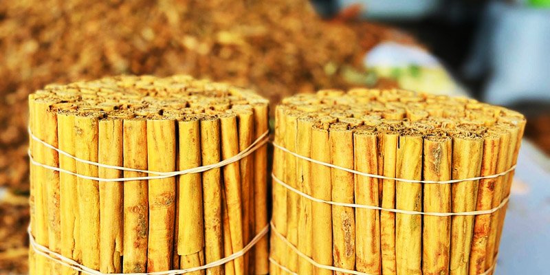 Ceylon Cinnamon: The True Cinnamon of Sri Lanka